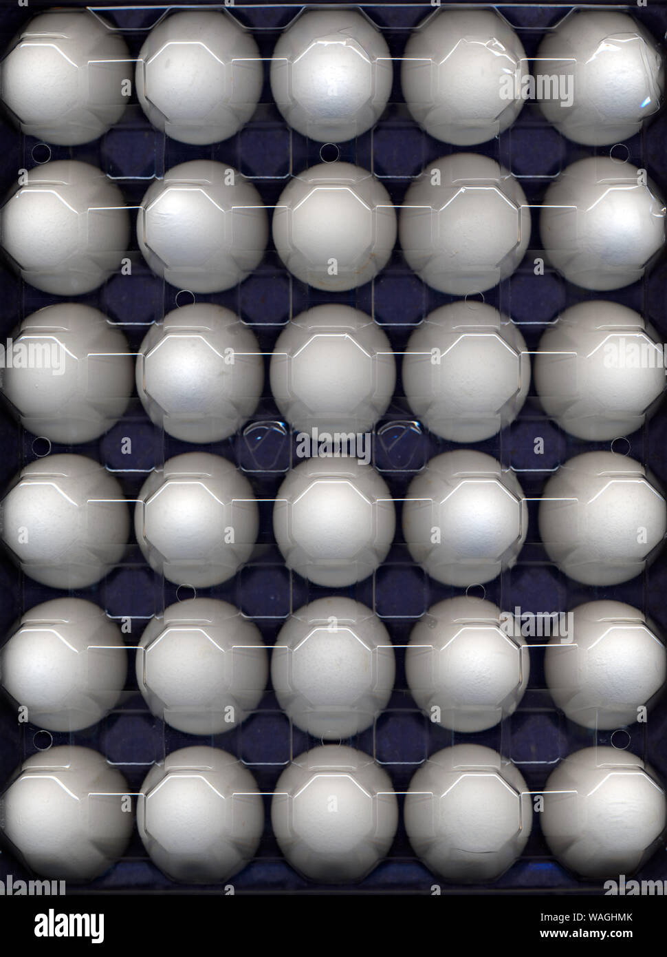 30 eggs in egg crate with plastic cover Stock Photo