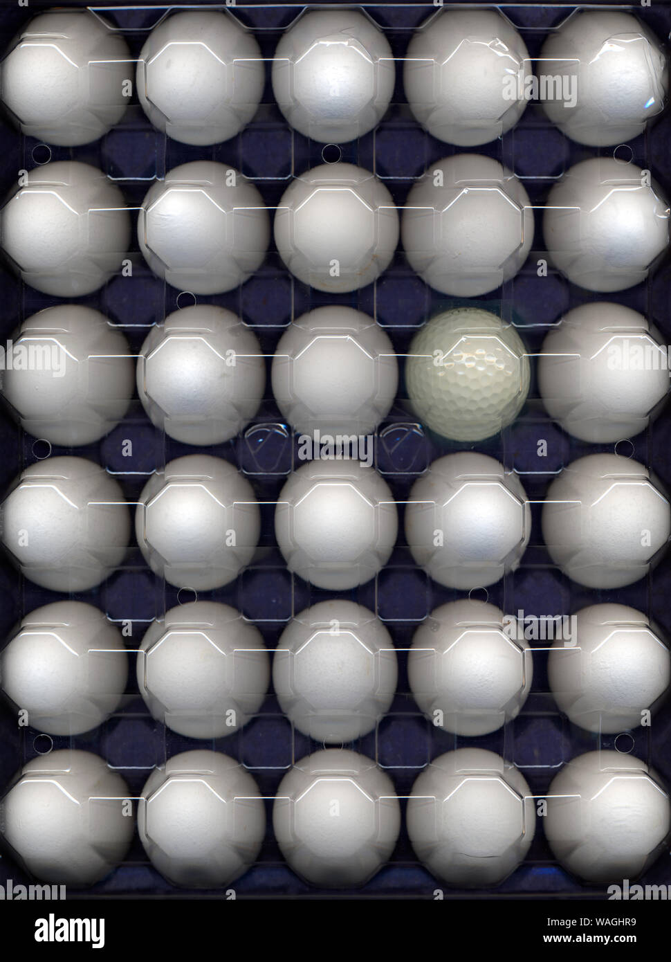 Golf ball concealed in egg crate Stock Photo - Alamy