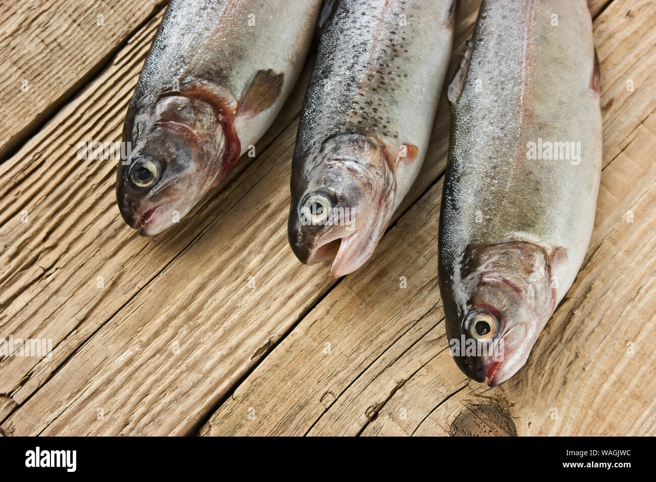 rainbow trout on a wooden board Stock Photo