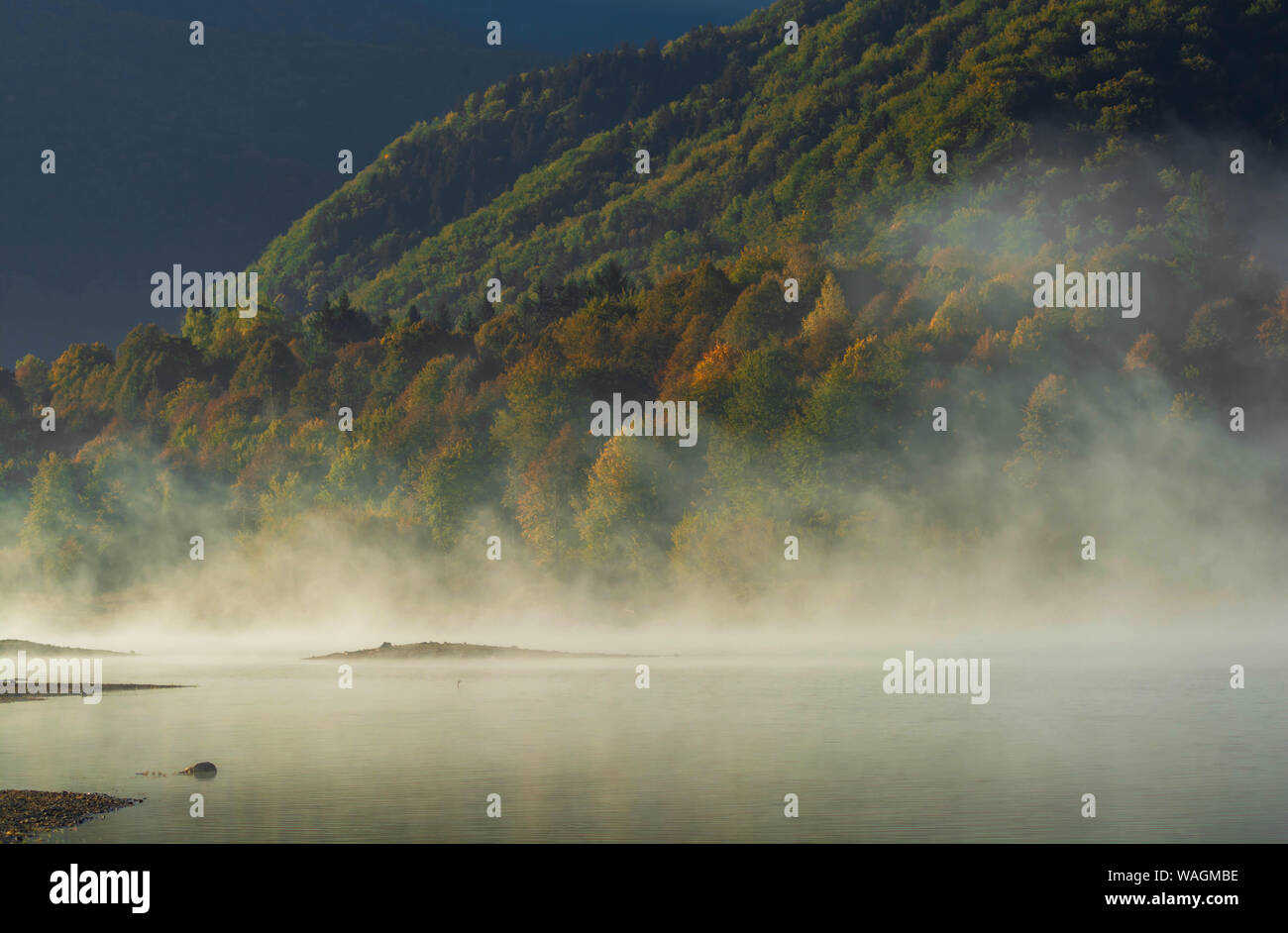 Foggy lake reflecting the reds and golds of the fall foliage in Lake ...