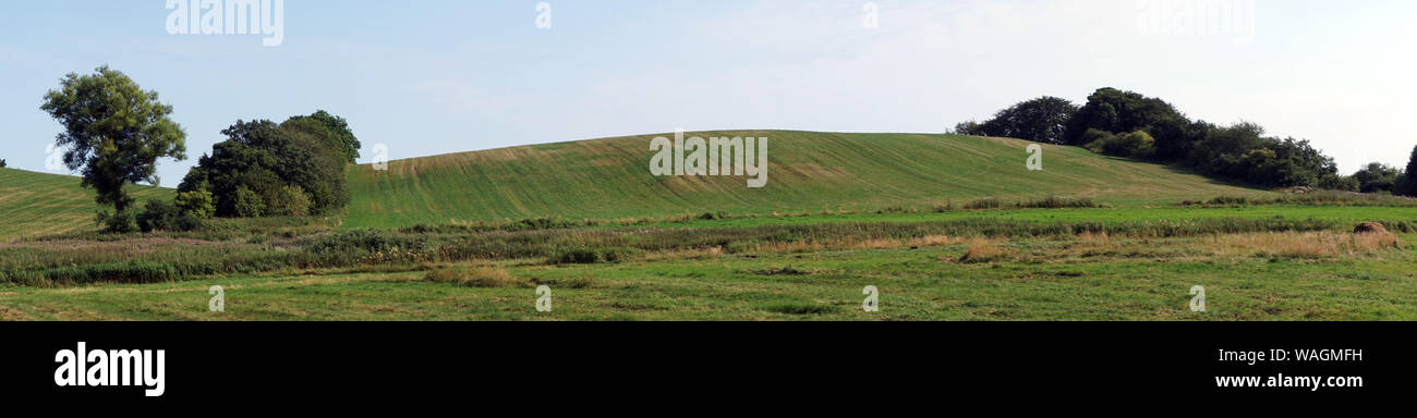 Panorama of green farmland in Denmark Stock Photo