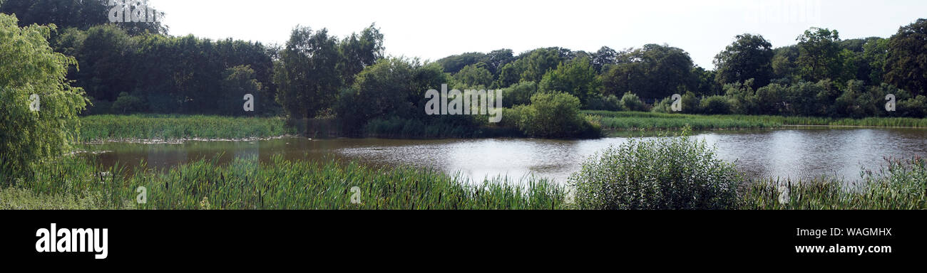 Panorama of lake with cane in Denmark Stock Photo