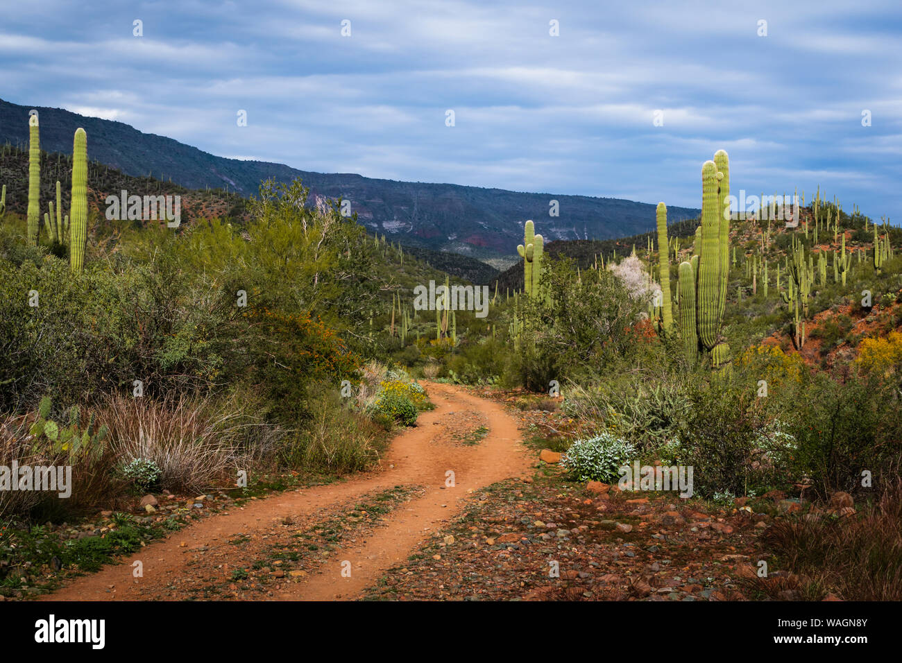 Tonto National Park Stock Photos & Tonto National Park Stock Images Alamy