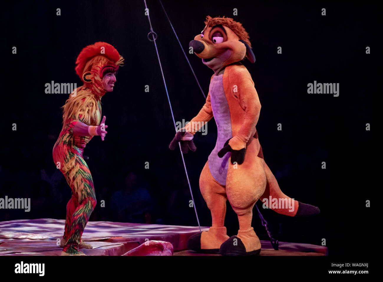 Orlando, Florida. August 14, 2019. Monkey acrobat and Timon in Lion King  Festival at Animal Kingdom Stock Photo - Alamy