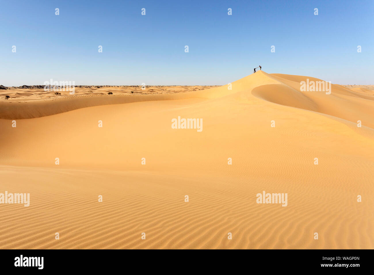Two man helping each other to climb on dunes in Cinnamon Desert, desert between Mahout and Duqm, Oman Stock Photo