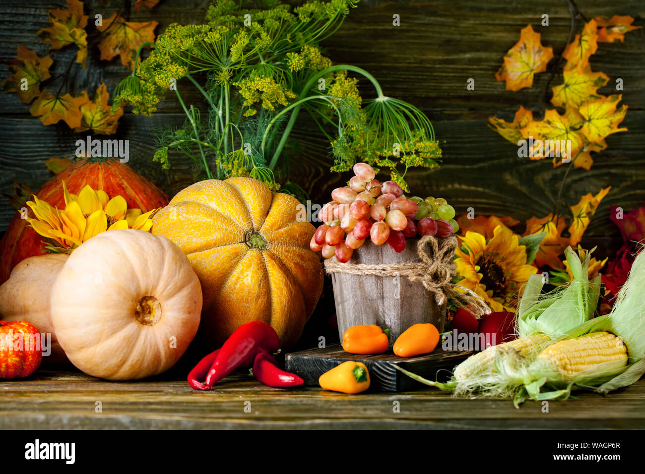 Thanksgiving Harvest Wallpaper