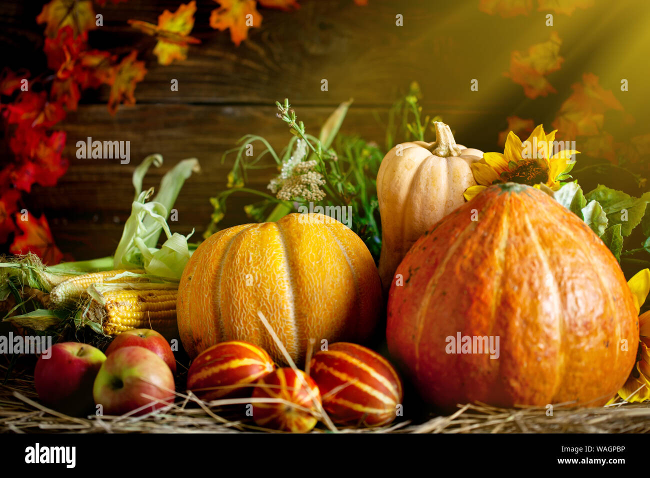 November thanksgiving hi-res stock photography and images - Alamy