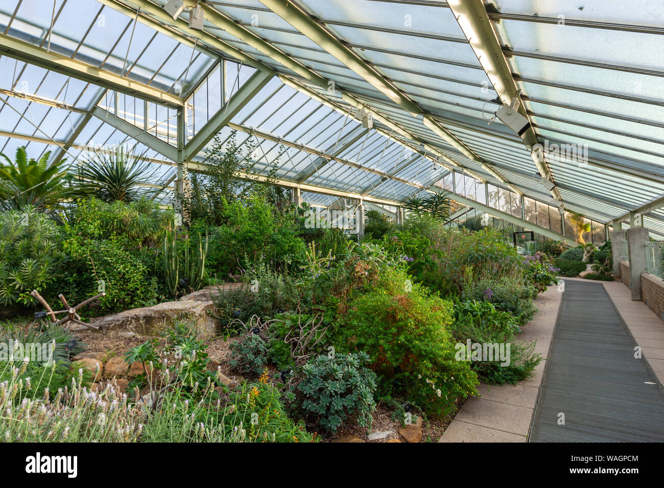 The Arid House Princess Of Wales Conservatory Royal Botanic