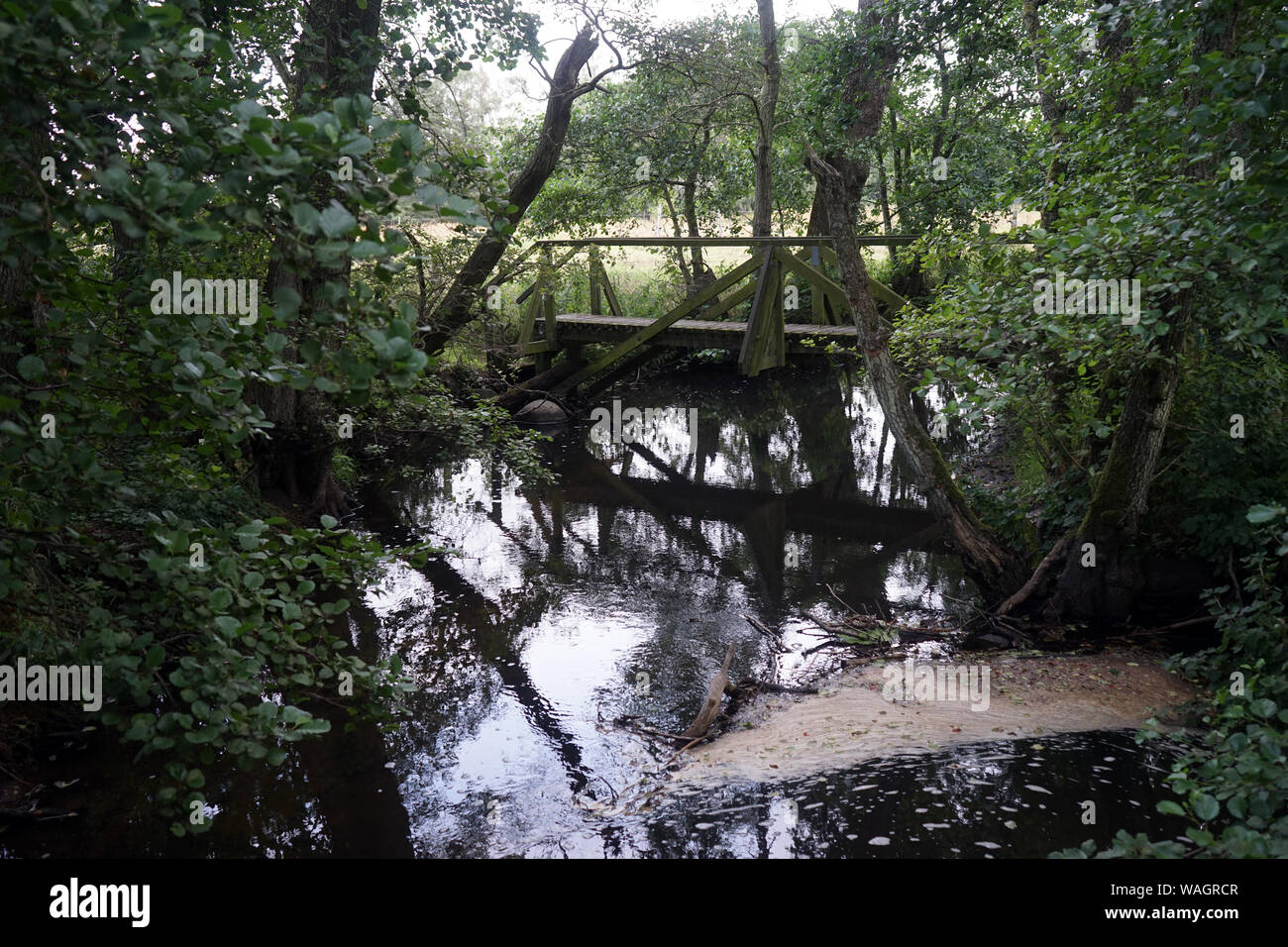 River and wooden bridge in forest in Denmark Stock Photo