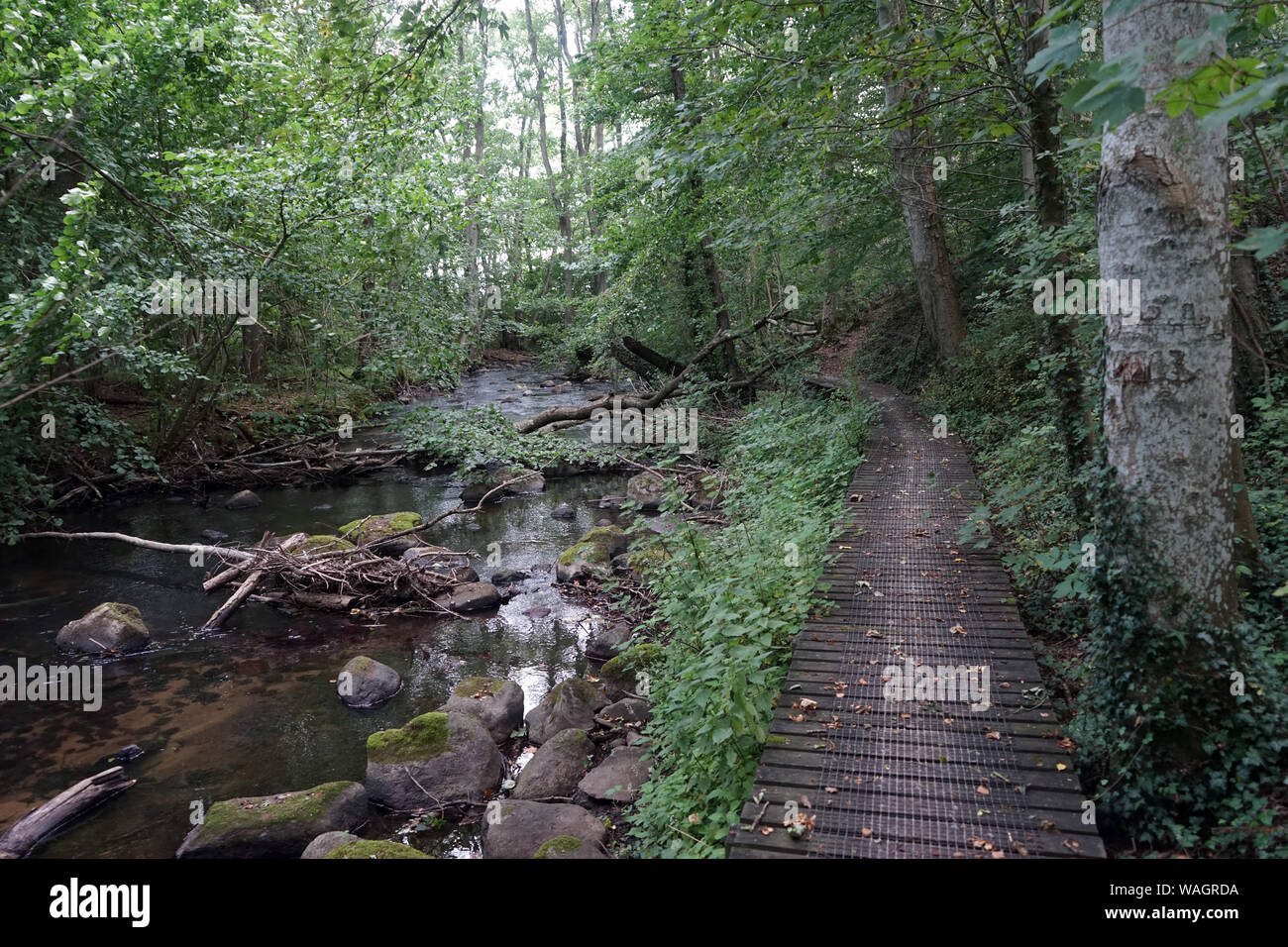 River, walkway and forest in Denmark Stock Photo