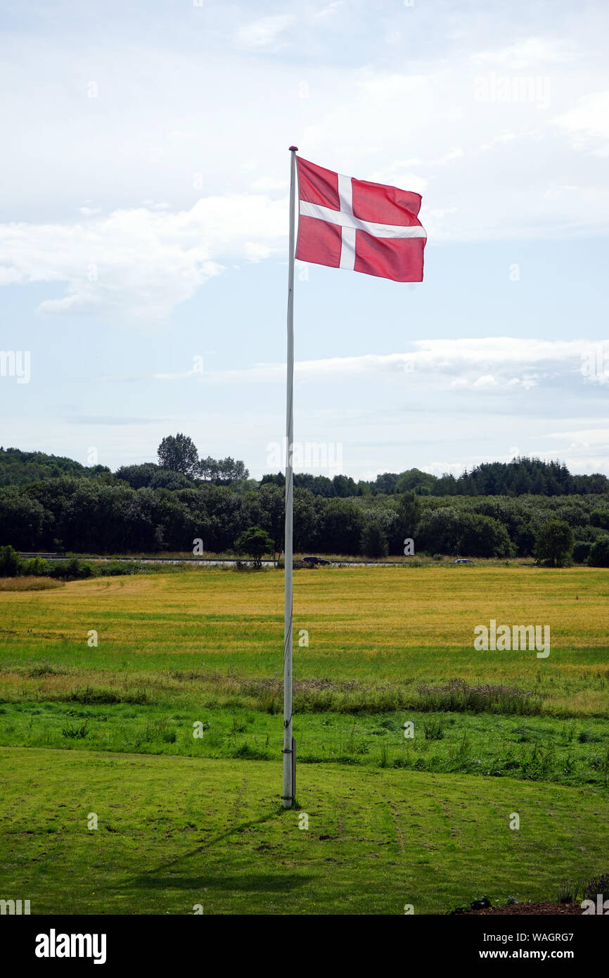 Danish flag on green field in Denmark Stock Photo
