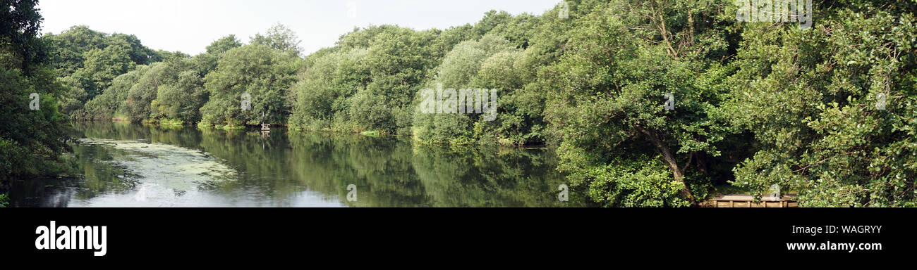 Panorama of river and forest in Denmark Stock Photo
