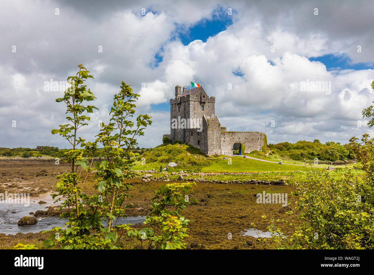 Dunguaire Castle builkt 1520 ,home of Lady Christobel Amptill 1945 to 1972 on Galway Bay in Kinvara in County Galway Ireland Stock Photo