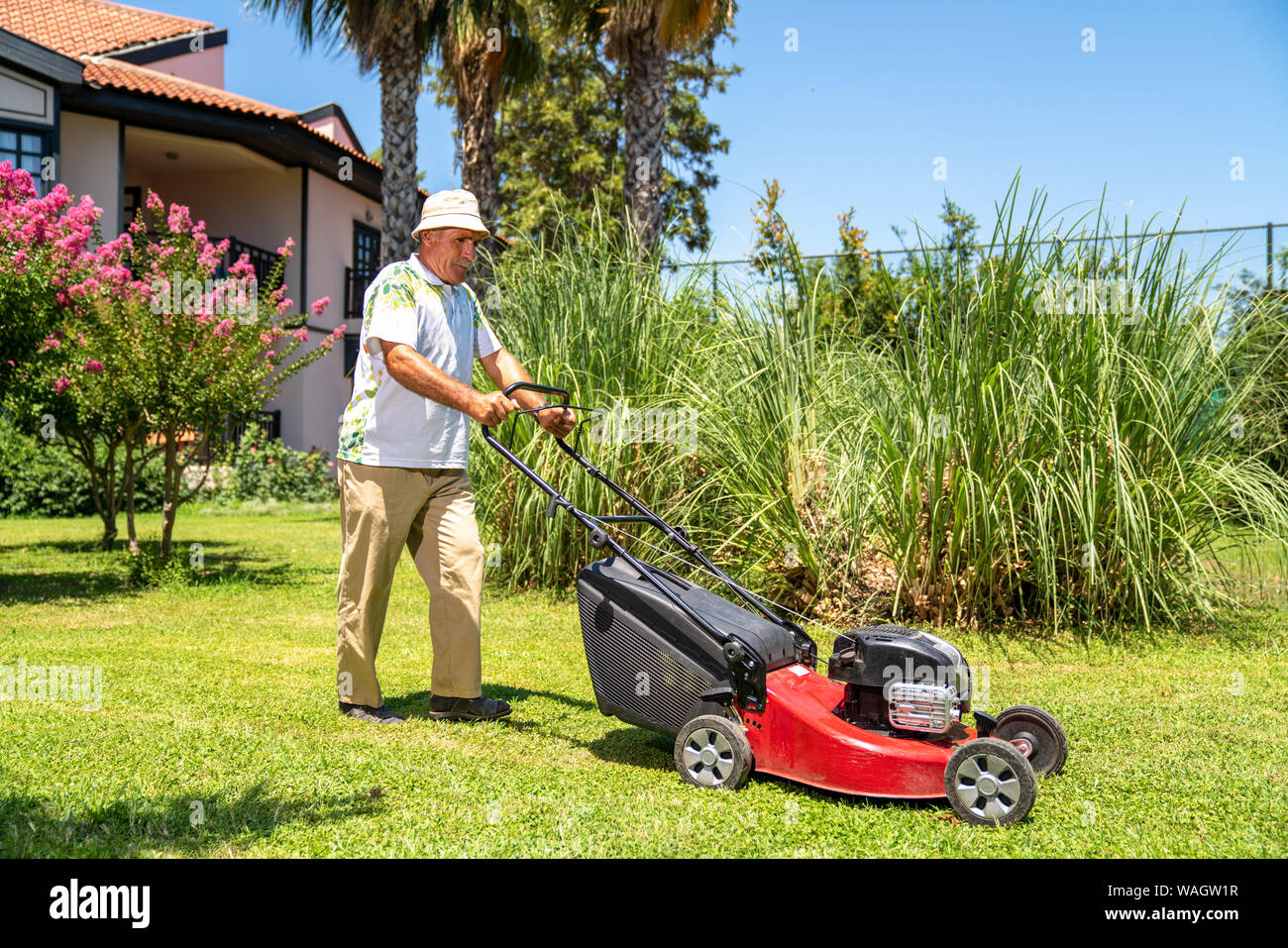 Old reel lawnmower Stock Photo - Alamy