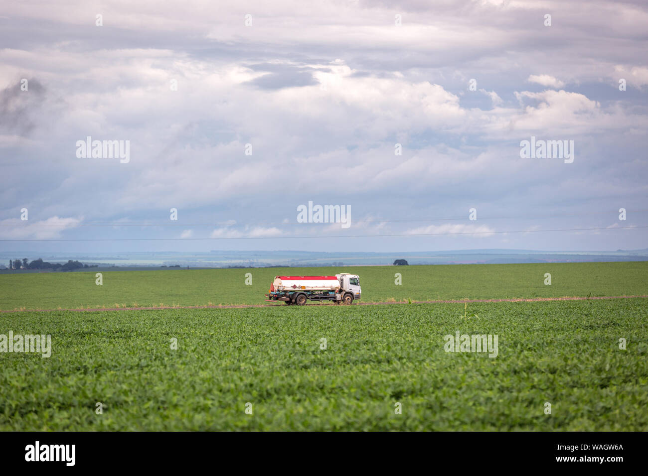 A water truck crossing a huge soybean farm in the country side of Brazil Stock Photo