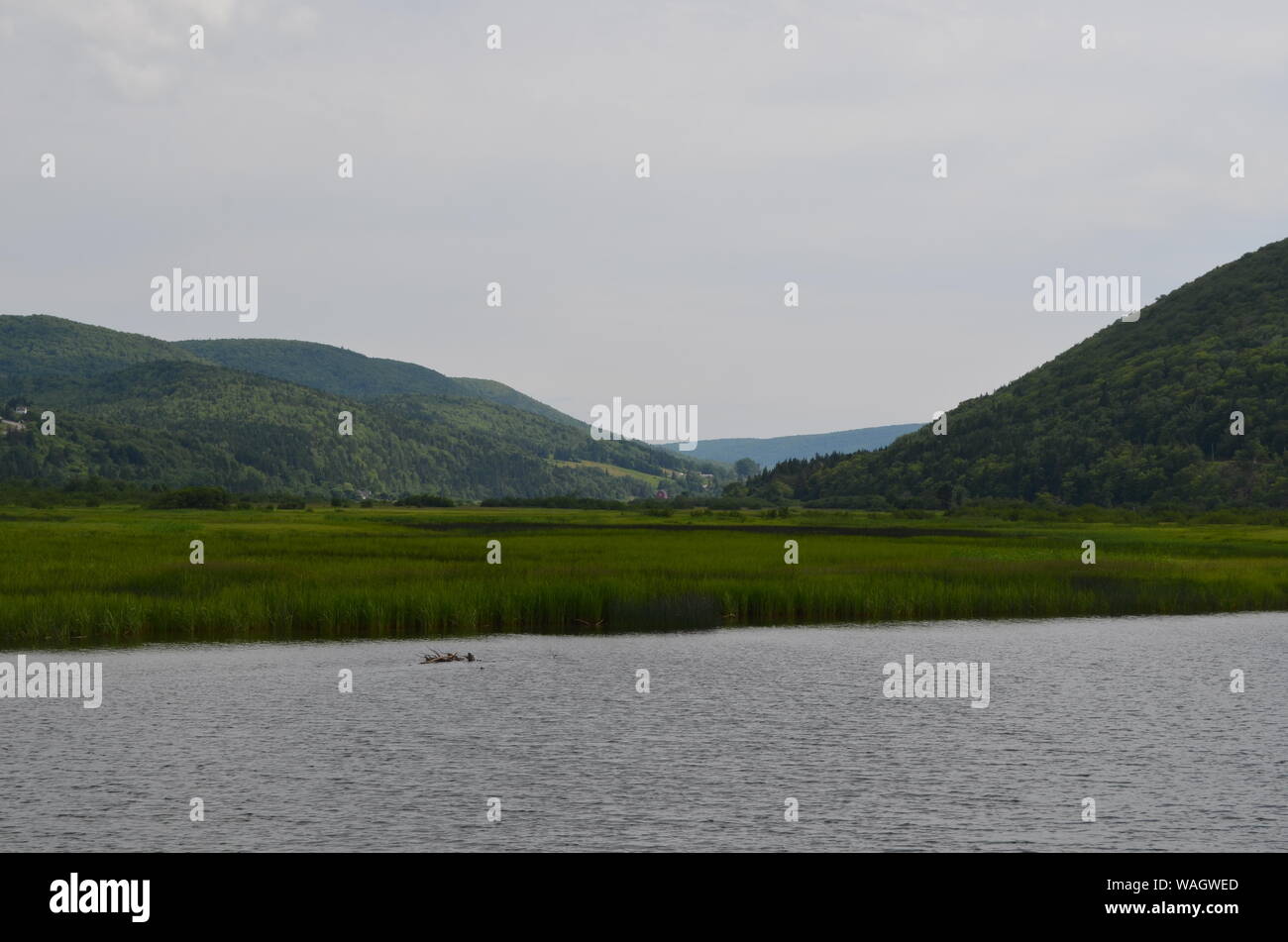 Summer In Nova Scotia Looking Down Margaree Valley Along Margaree