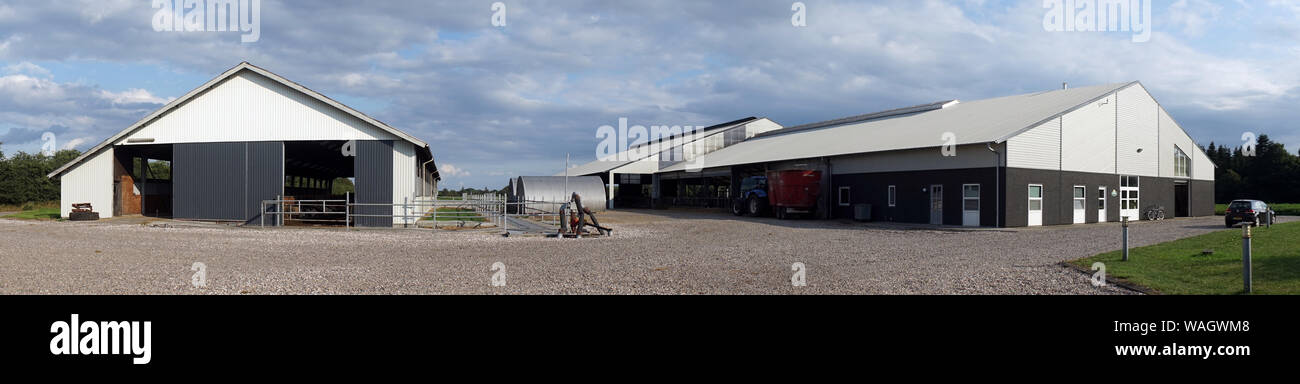 Panorama of animal farm in Denmark Stock Photo