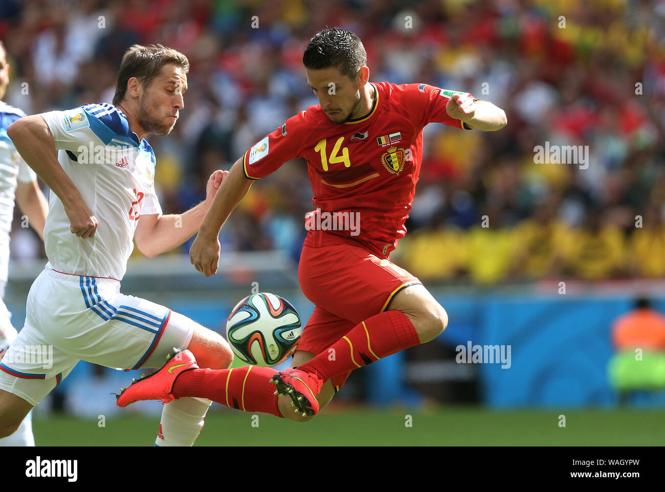 Mertens World Cup High Resolution Stock Photography And Images Alamy
