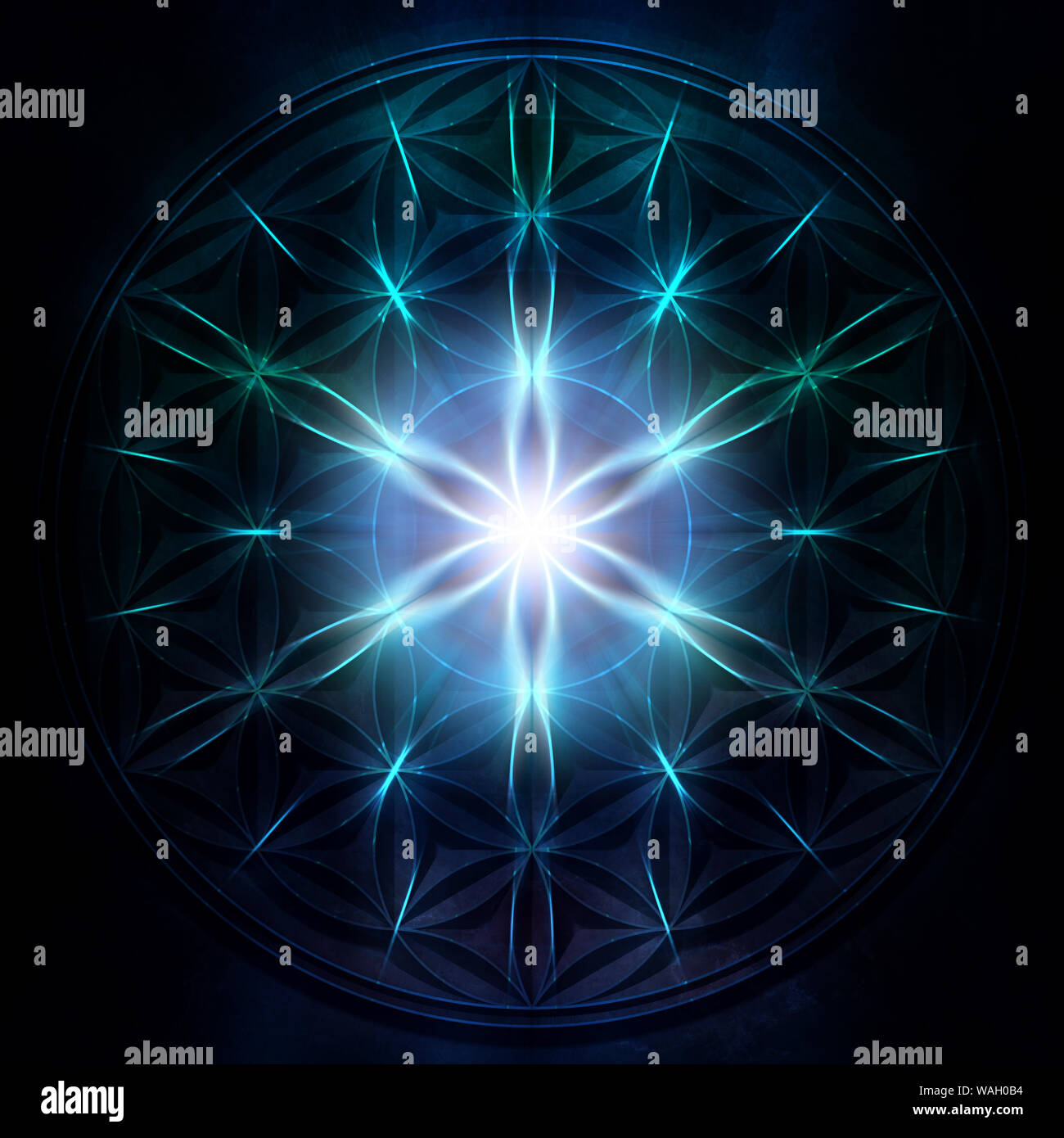 Flower of Life Stock Photo Alamy
