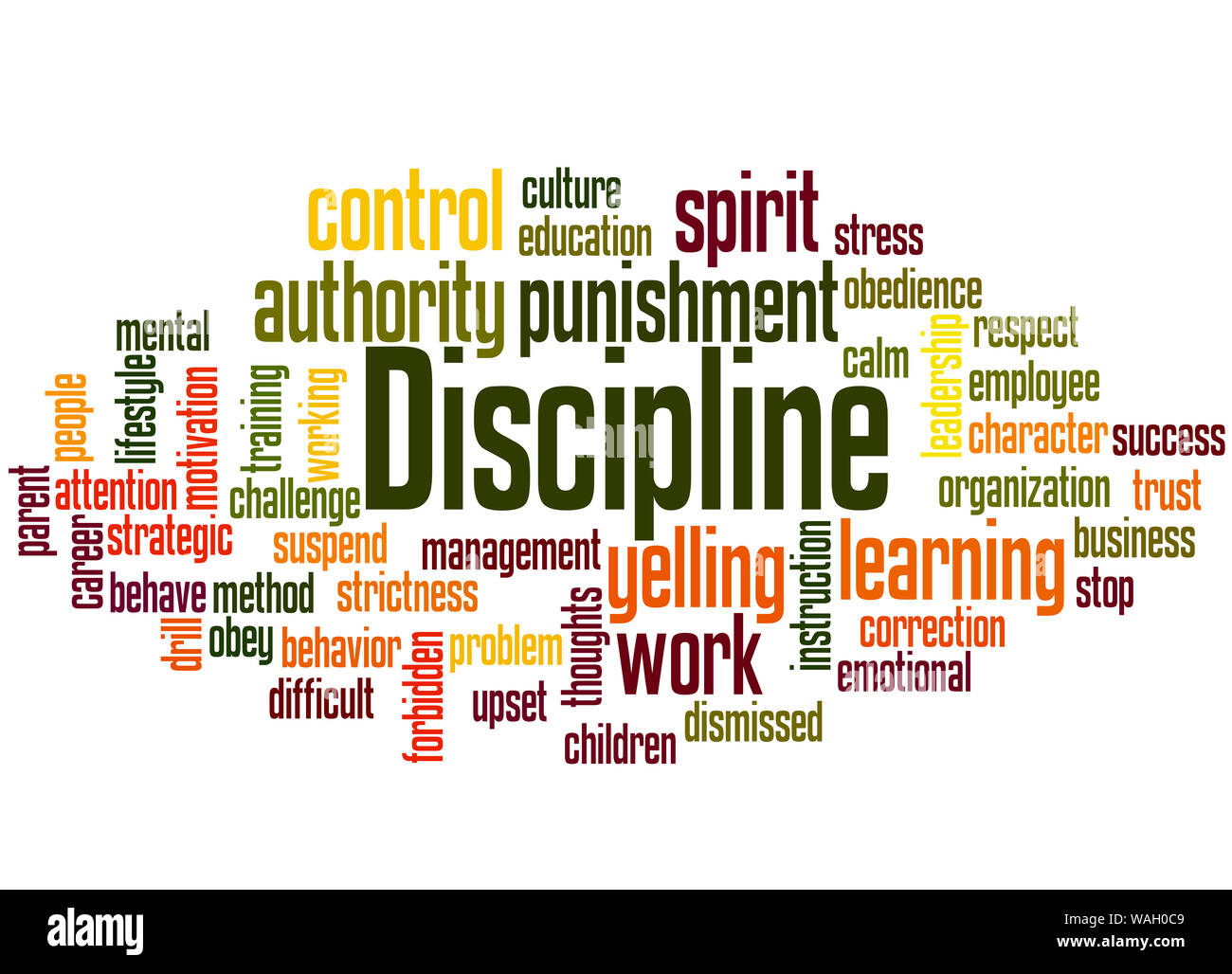 Discipline word cloud concept on white background. Stock Photo