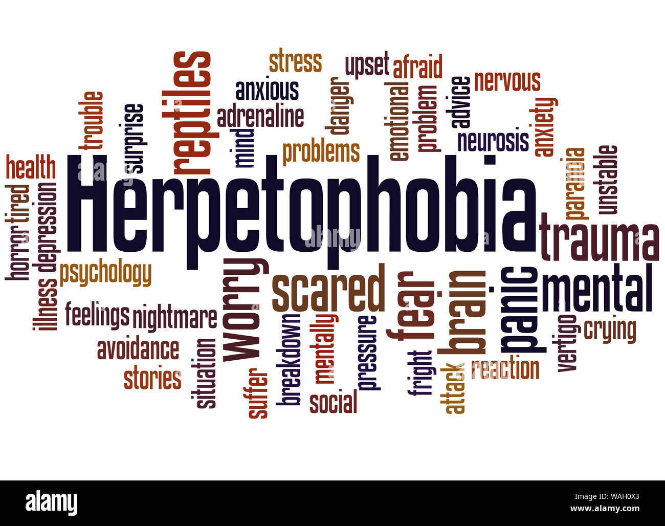 Herpetophobia fear of reptiles word cloud concept on white background