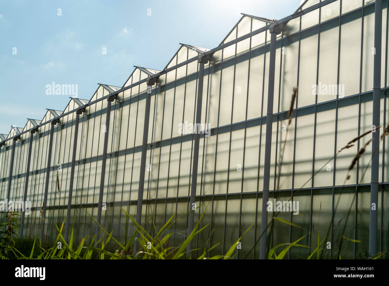 glass-greenhouses-growing-plants-view-hi-res-stock-photography-and