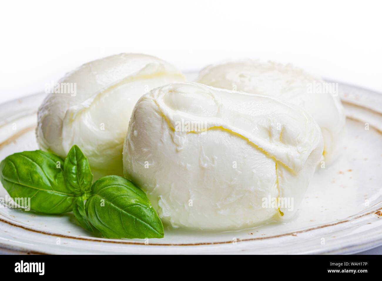 Italian soft cheese mozzarella, white cheese made from cow or buffalo milk  with fresh green basil herb close up Stock Photo - Alamy