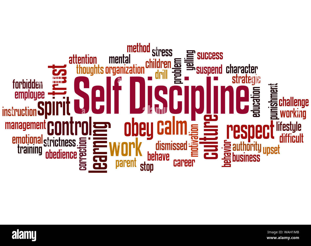 Self Discipline word cloud concept on white background. Stock Photo