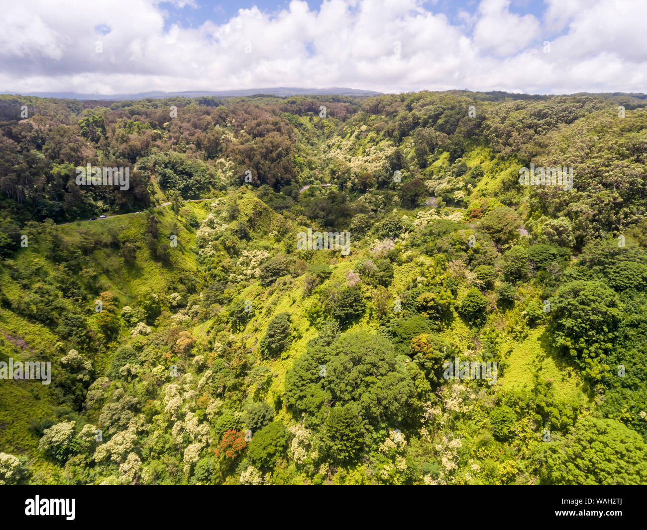Aerial view of the road to Hana Maui Hawaii Stock Photo Alamy