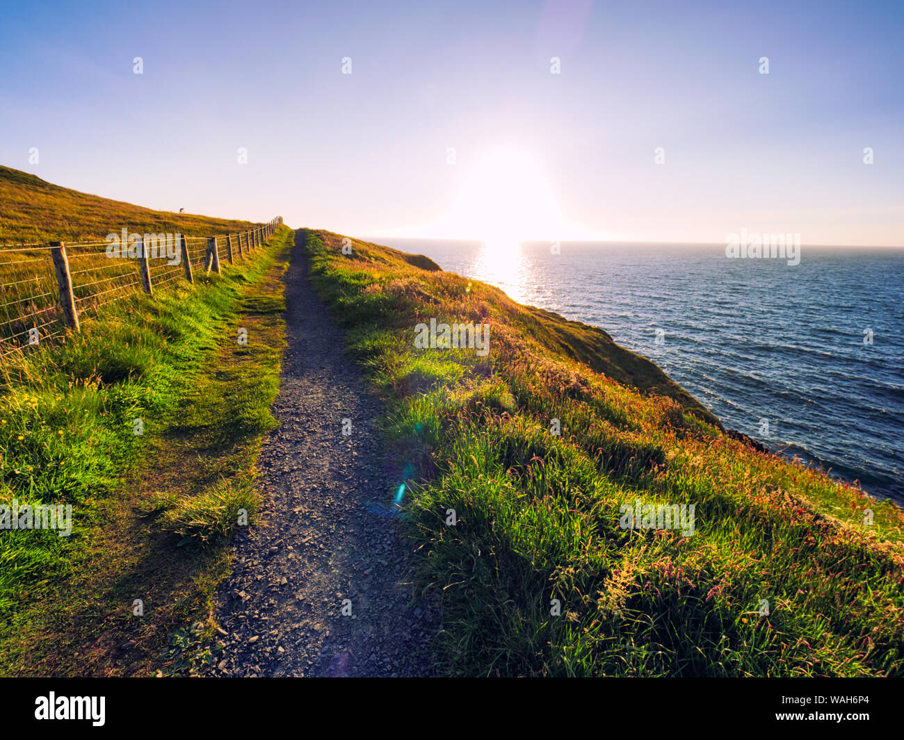 summer sunset giants causeway coastline,Northern Ireland Stock Photo ...