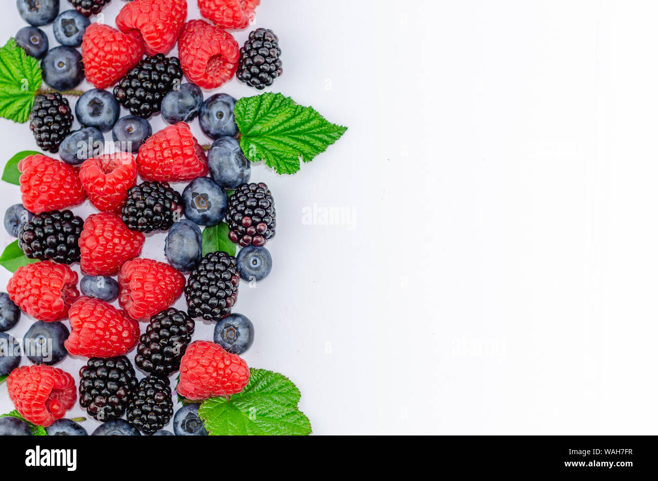 Blueberries, blackberries, raspberries and green leaves isolated on white - flat lay photo with a copy space. Stock Photo