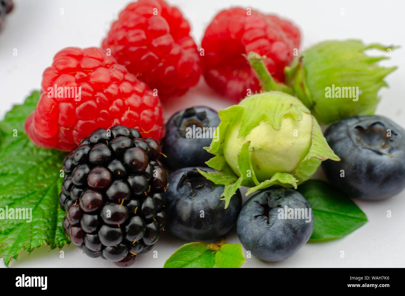 Mix of juicy forest berries and nuts: Raspberries, Blueberries, Blackberry with tiny green leaves and green hazelnuts. Close up, isolated on white. Stock Photo