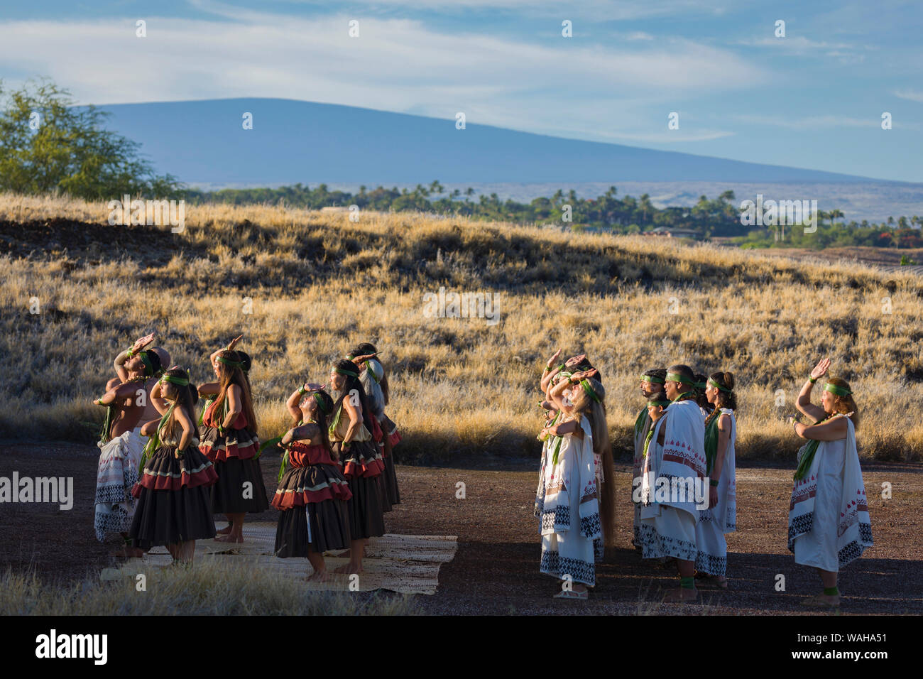 Hula dancers perform at Cultural Festival at Pu'ukohala Heiau NP on Hawaii Island with Mauna Loa distant. Stock Photo