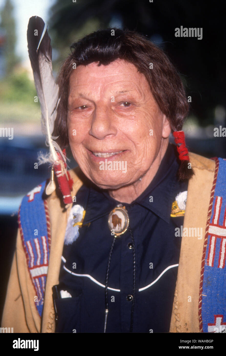 Iron Eyes Cody, 1992, Photo By Michael Ferguson/PHOTOlink / MediaPunch