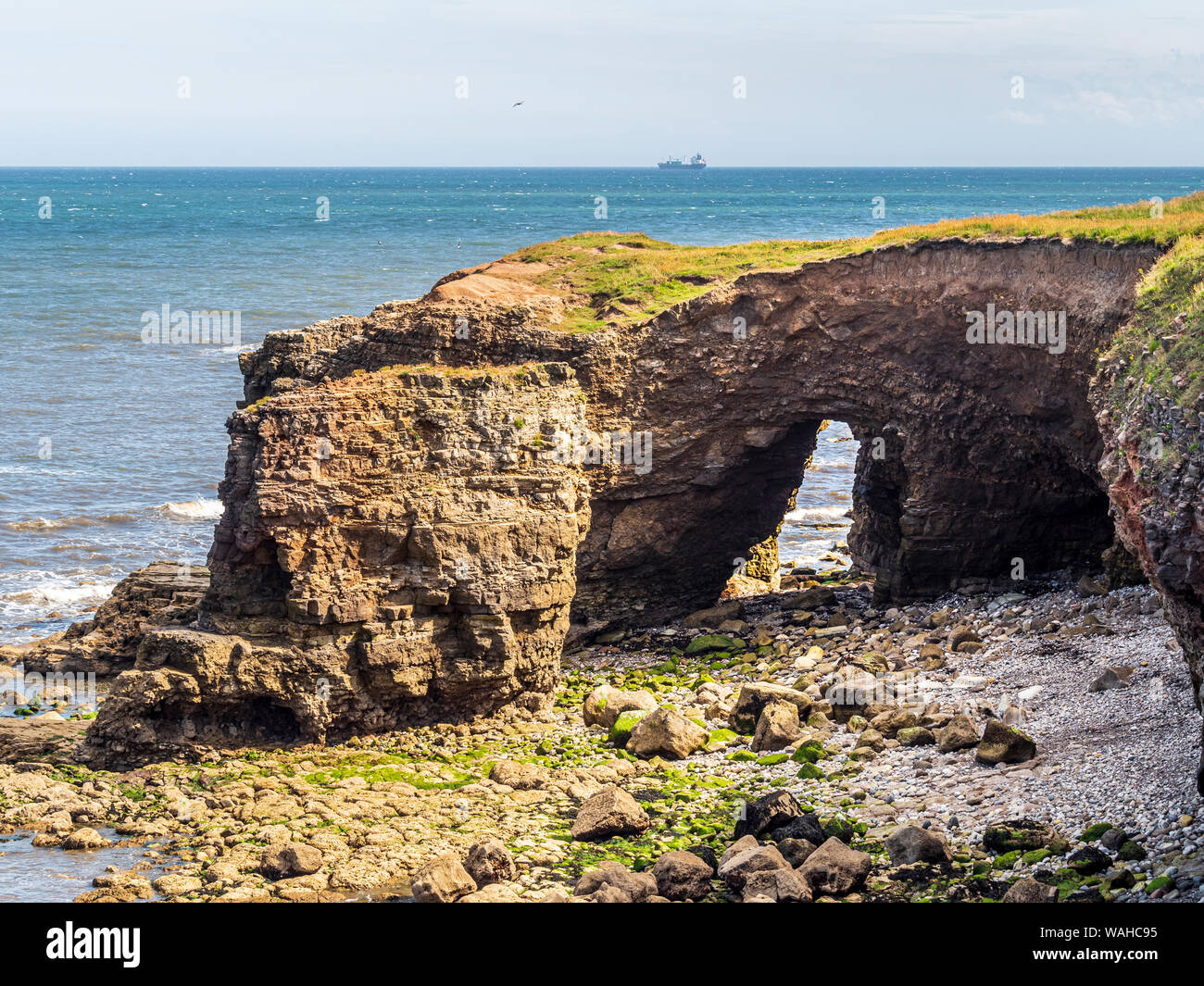 Cove and eroded rock on Whitburn Coastal Path, Tyne & Wear, UK. Stock Photo