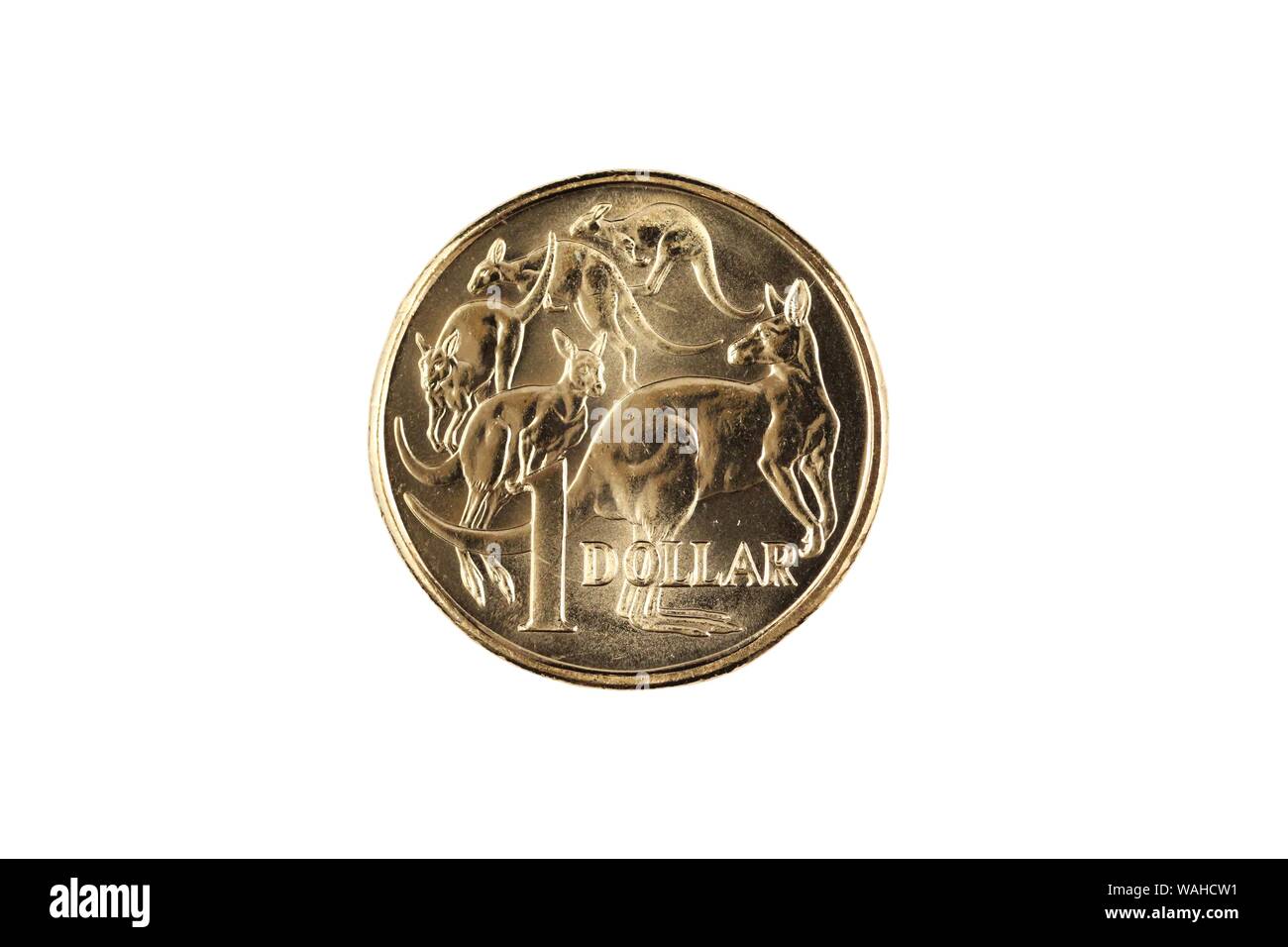 A gold, shiny Australian one dollar coin isolated on background. Shot close up in macro Stock Photo Alamy