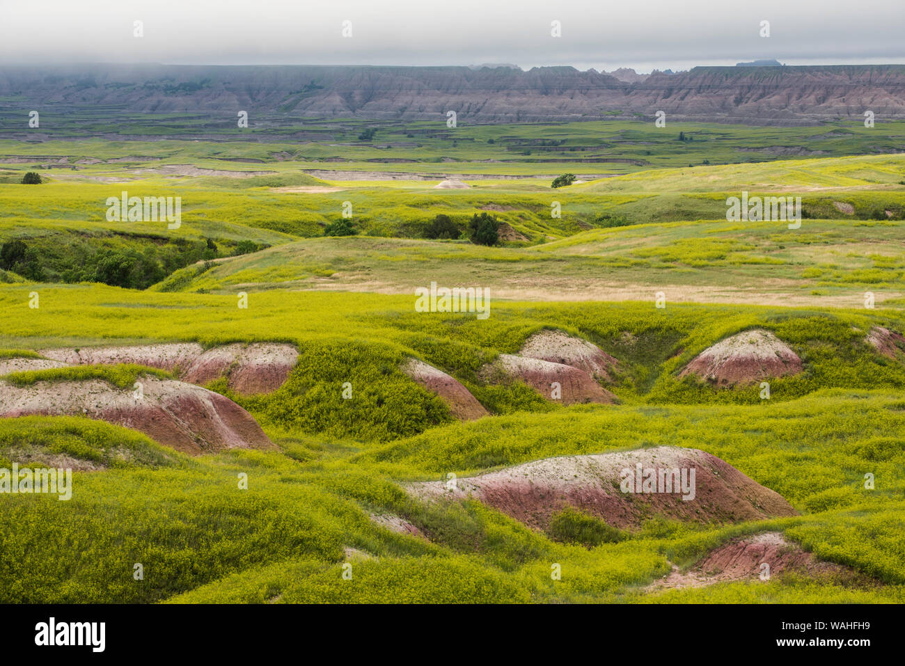 Bruce south dakota hires stock photography and images Alamy