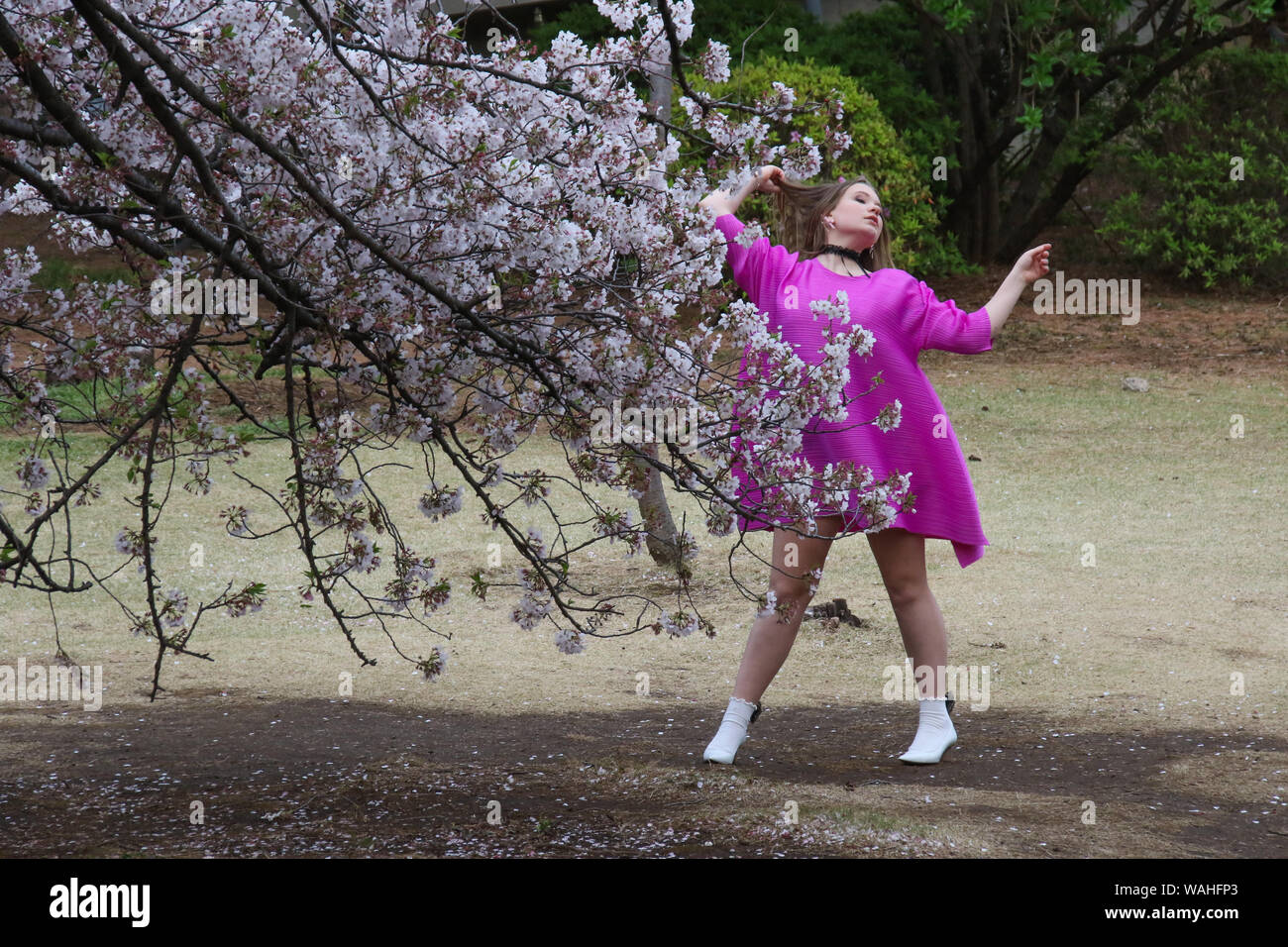 Shinjuku Gyoen National Garden, Tokyo, Japan Stock Photo - Alamy