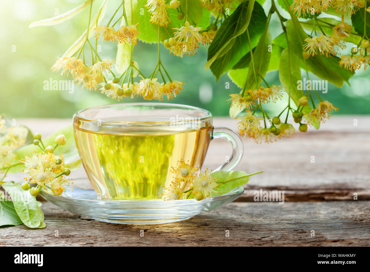 Glass cup of healthy tea with linden tree flowers on wooden board, lime tree flowers. Herbal medicine. Stock Photo