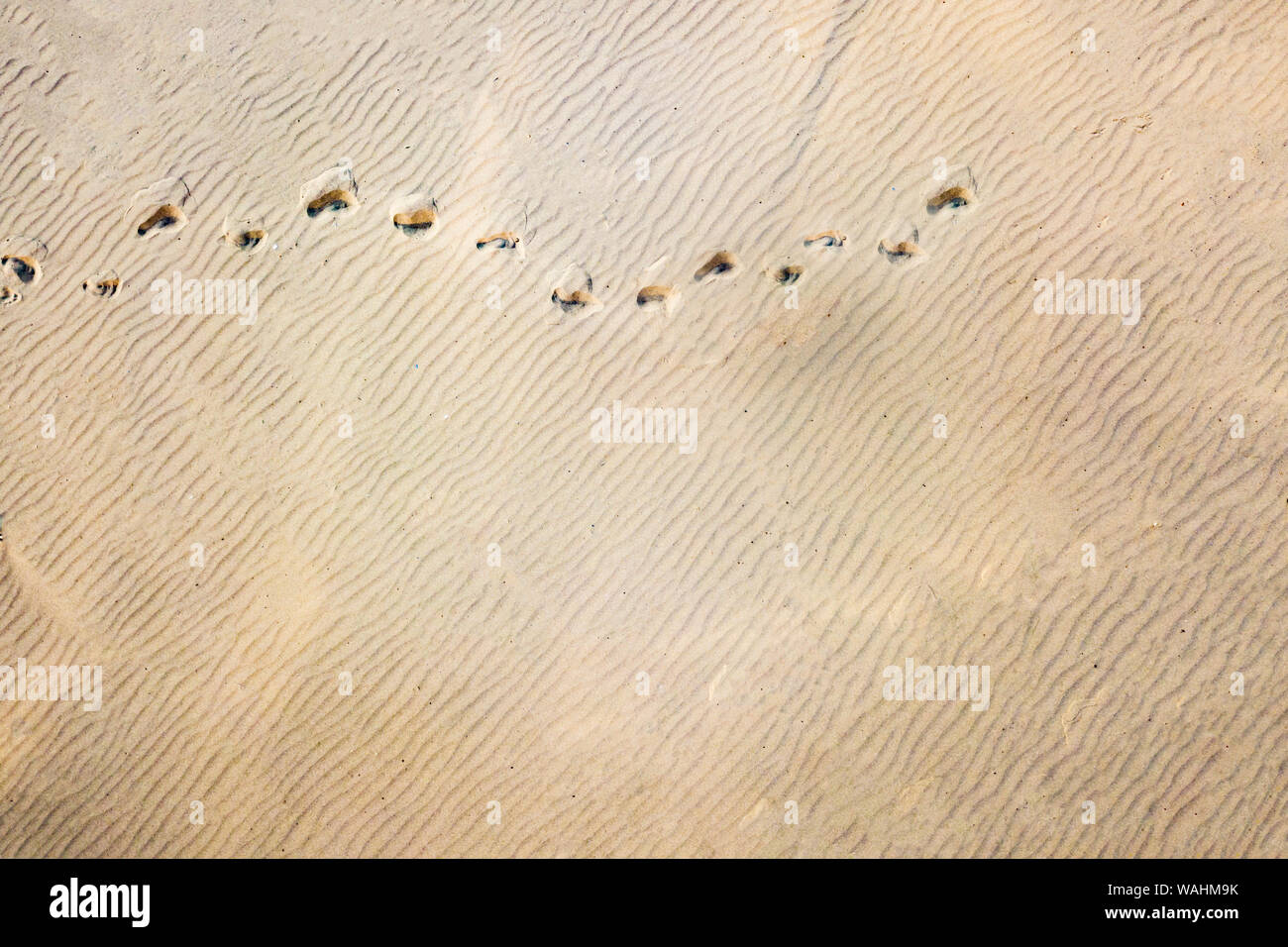 top aerial view of footsteps footprints on sand dunes in the desert Stock Photo