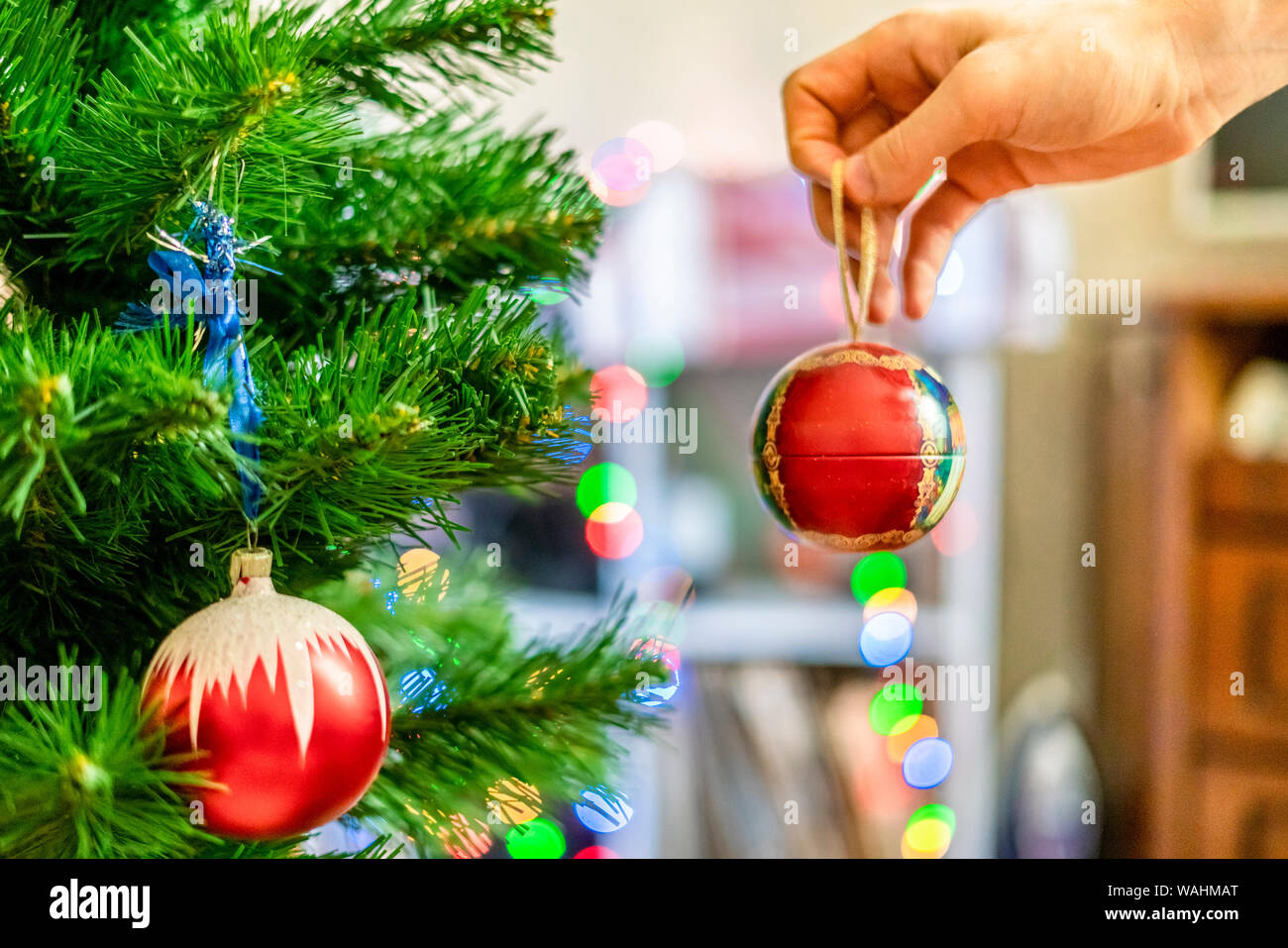 close up hand decorating the chrismas tree with beautiful red ball toy f Stock Photo