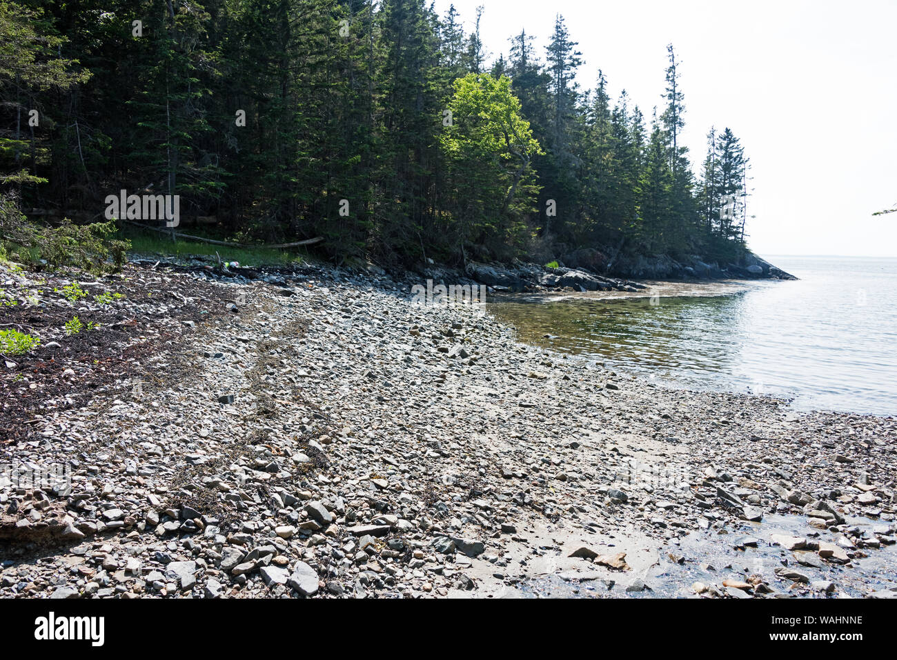 Rocky shoreline exposed by low tide, Deep Cove, isle au Haut, Maine. Stock Photo