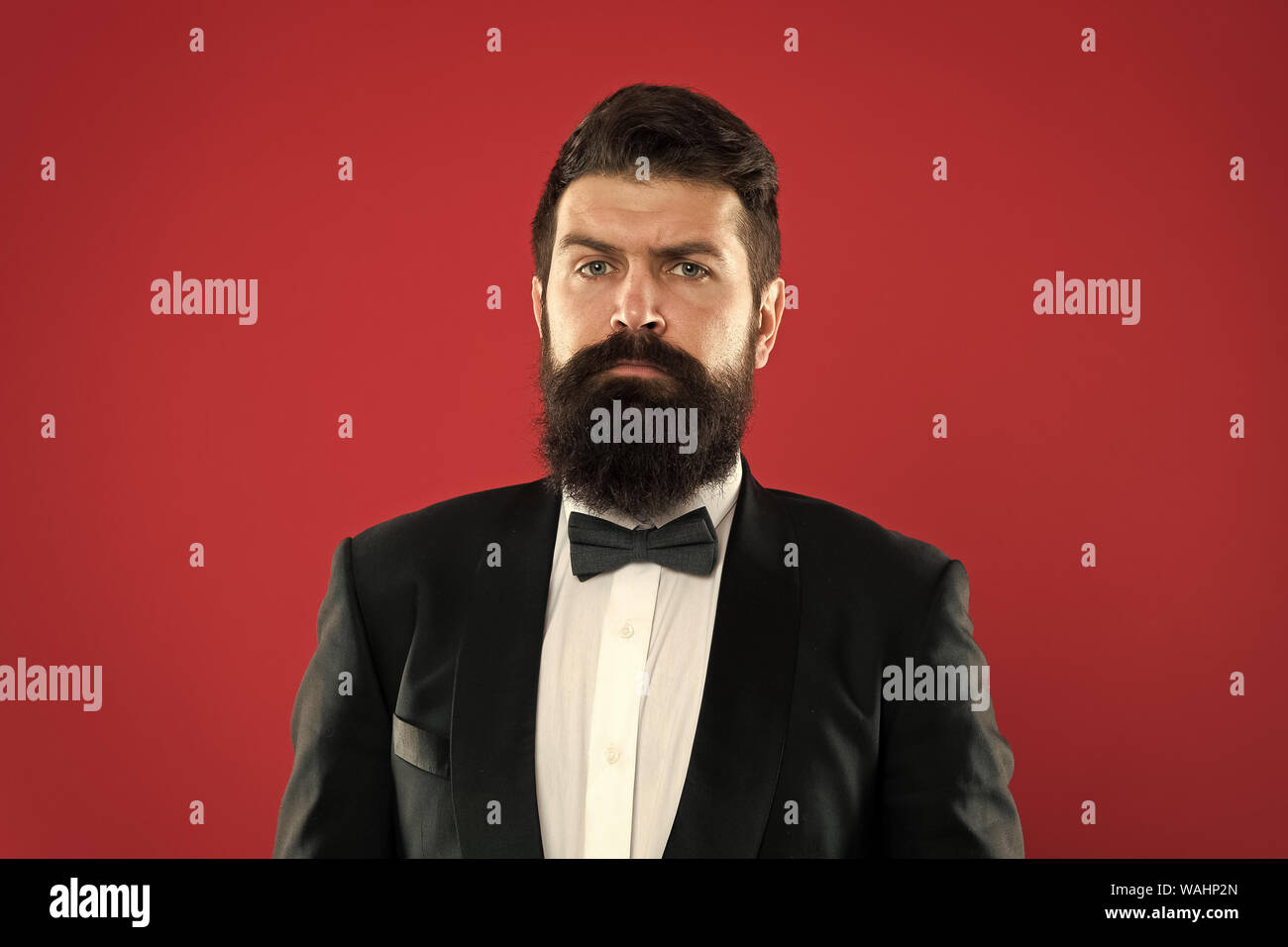 Bearded Man In Tuxedo And Bow Tie Formal Event Bearded Man Groom