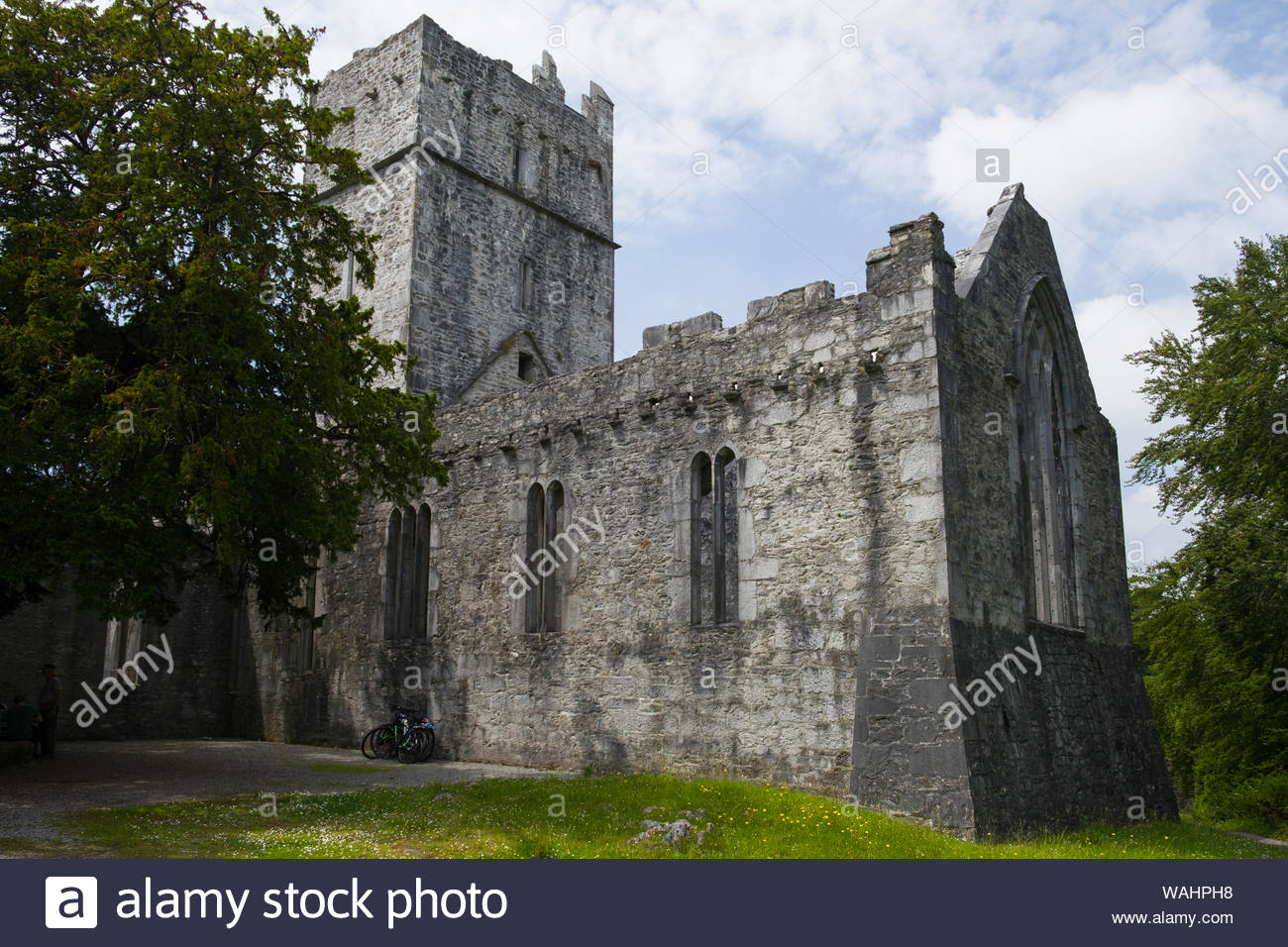 Historic Ruins Of Muckross Abbey Carrigafreaghane Killarney