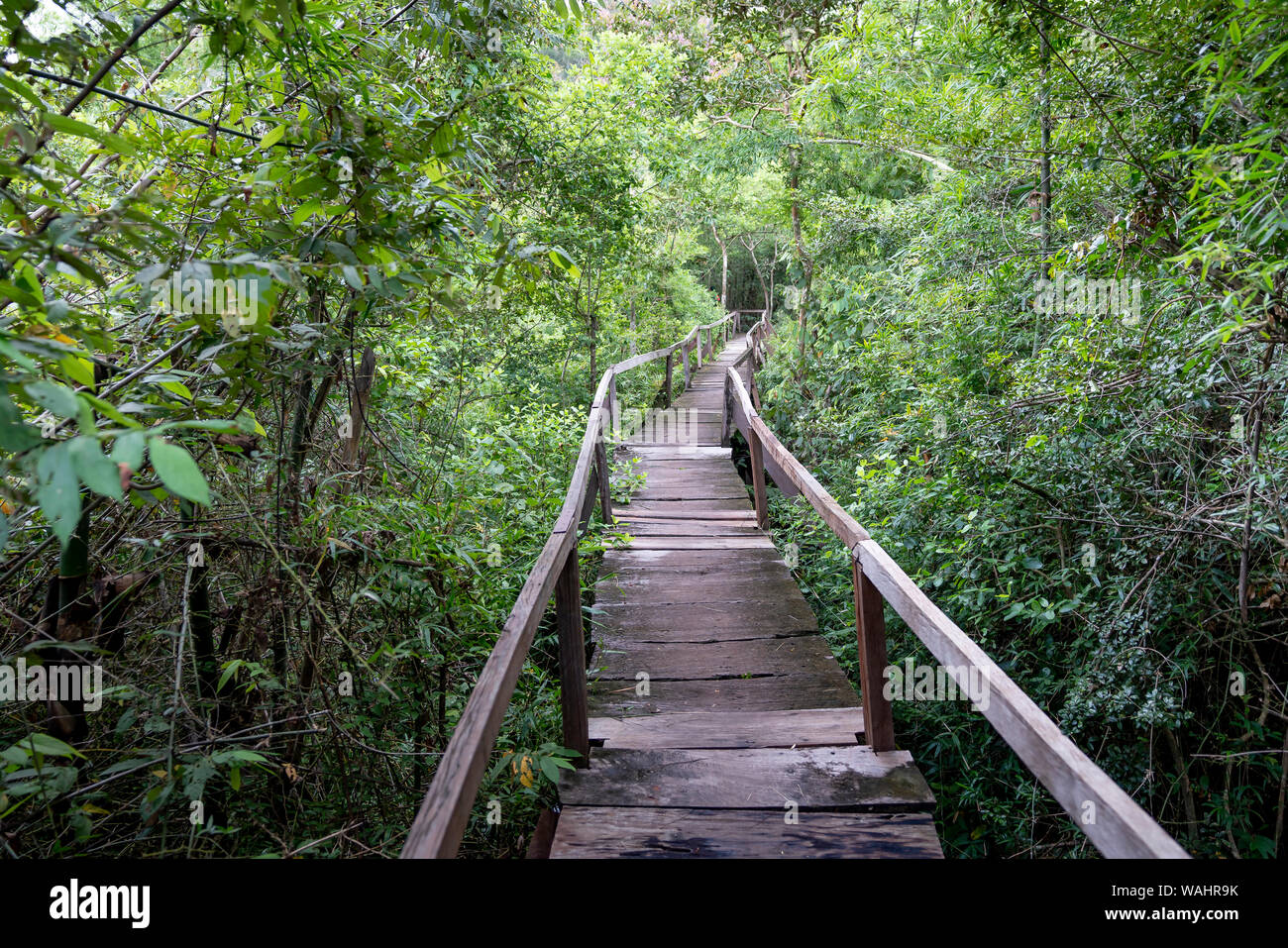 Dong Nai, Vietnam - An adventure in the tropical jungle