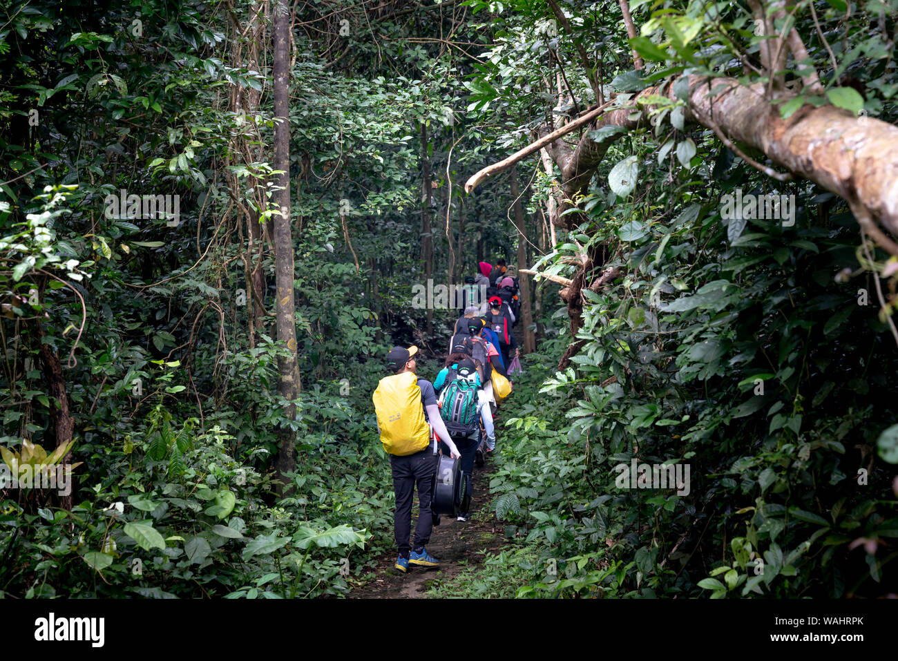 Dong Nai, Vietnam - An adventure in the tropical jungle