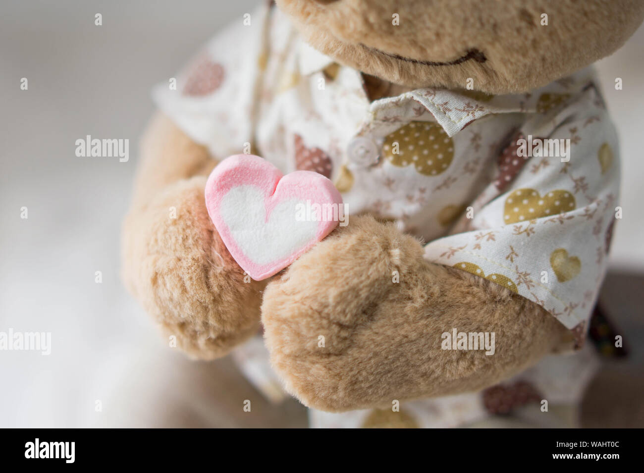 Brown Teddy bear holding pink heart shape marshmallow Stock Photo