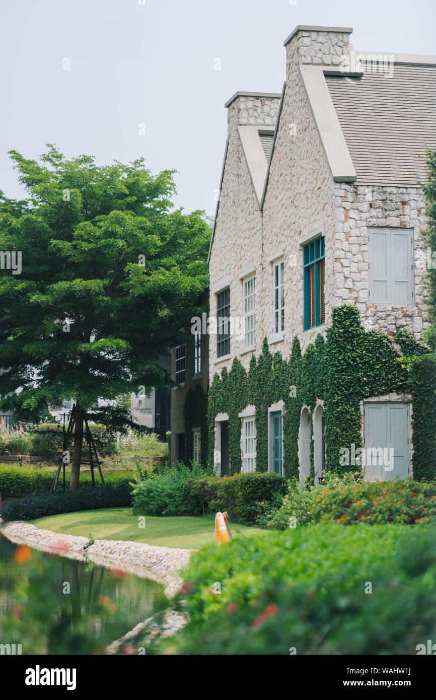 Beautiful decoration of English country style building covered with green creeper plant Stock Photo