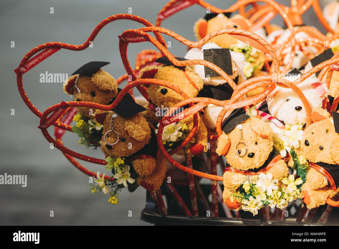 Bunches of teddy bears dressed up in  convocation gown as graduation gift Stock Photo