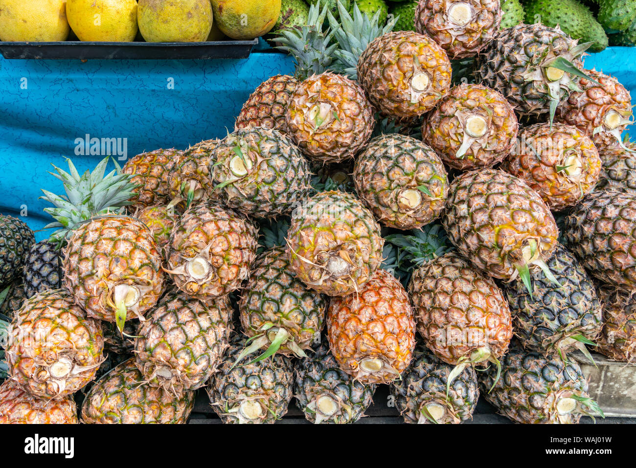 Pile of fresh pineapple for sale at Philippines fruit market Stock